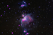 M42 (The Great Orion Nebula)
